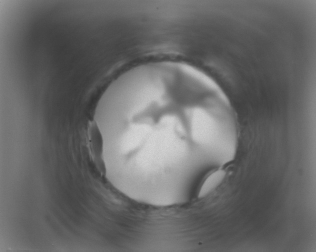 X0000081301159200702082037