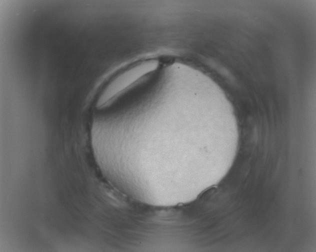 X0000081301160200702082037