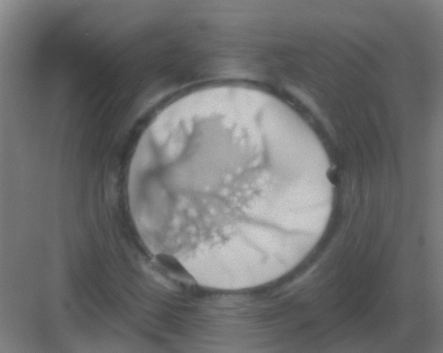 X0000081301163200702082037