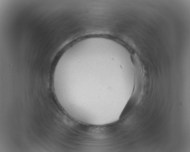 X0000081301165200702082037