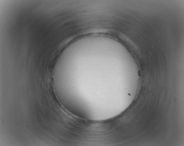 X0000081301169200702082037