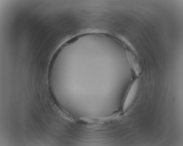 X0000081301173200702082037