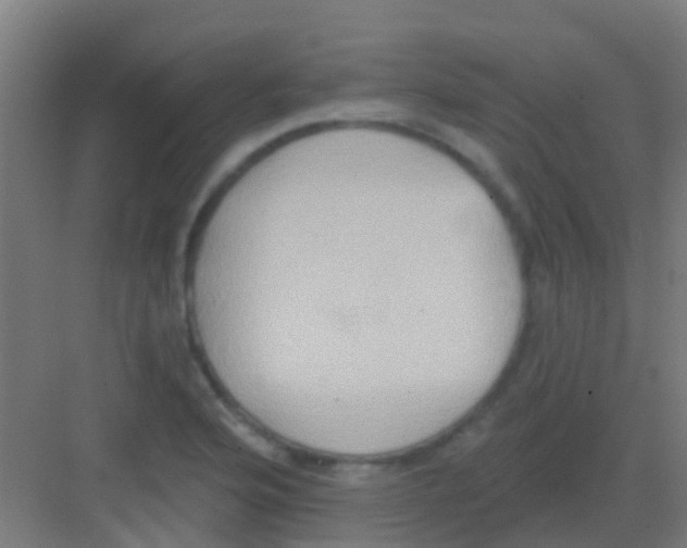 X0000081301176200702082037