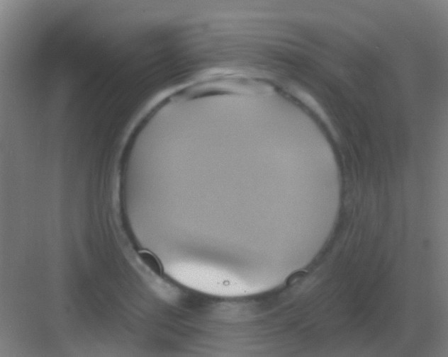 X0000081301179200702082037