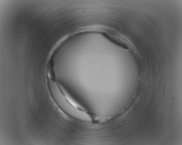 X0000081301180200702082037