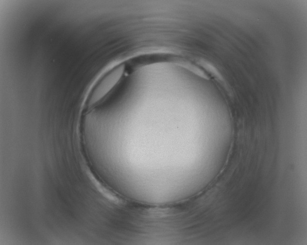 X0000081301181200702082036