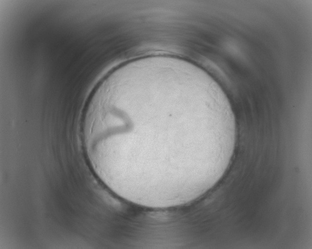 X0000081301182200702082036