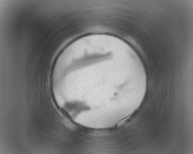 X0000081301183200702082036