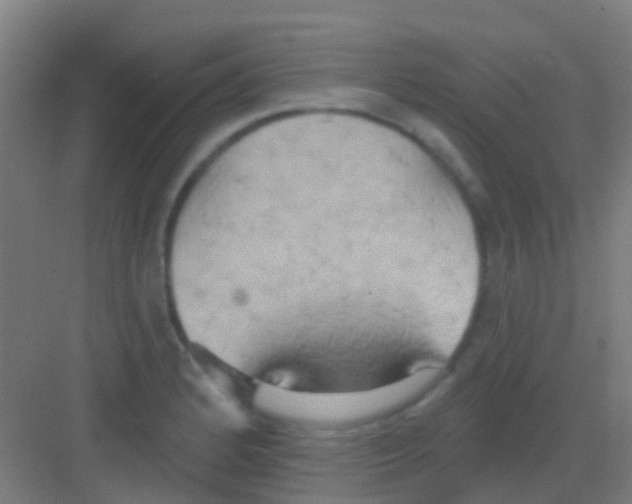 X0000081301184200702082036