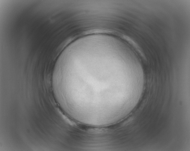 X0000081301185200702082036