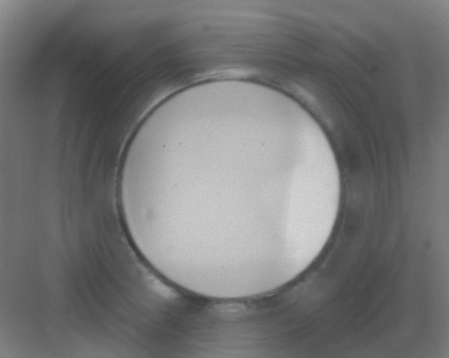 X0000081301186200702082036