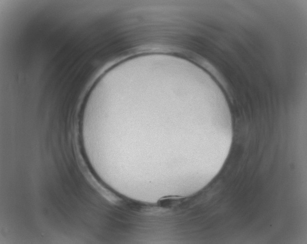 X0000081301187200702082036