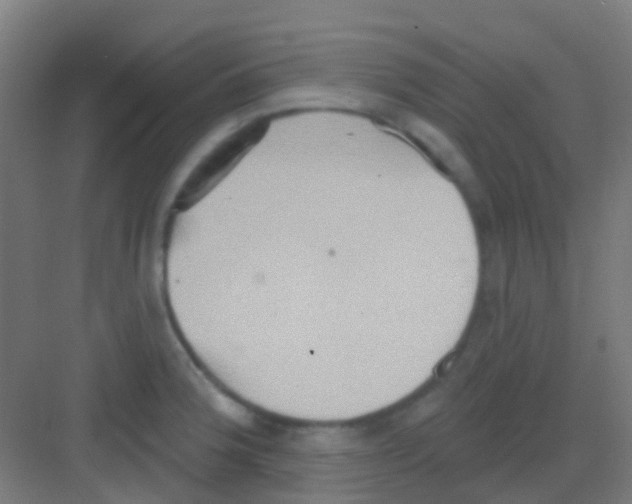 X0000081301188200702082036