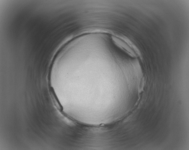 X0000081301189200702082036