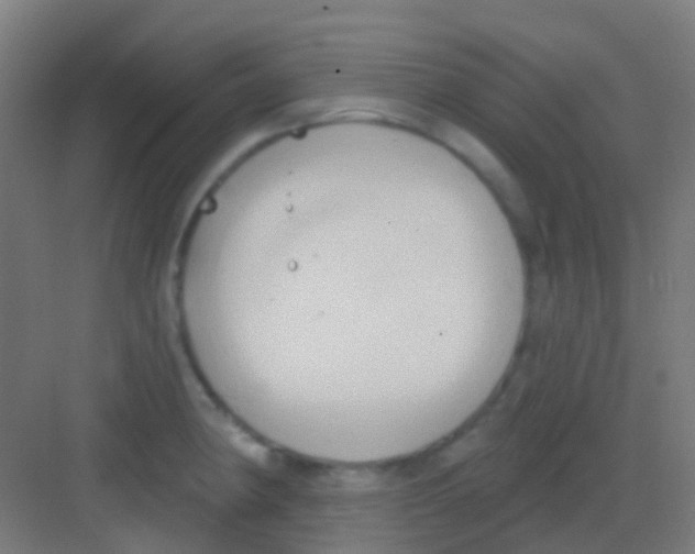 X0000081301190200702082036