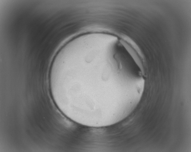 X0000081301191200702082036