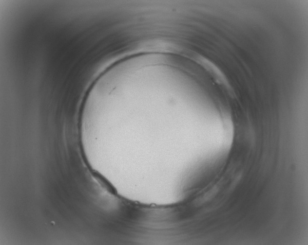 X0000081301192200702082036