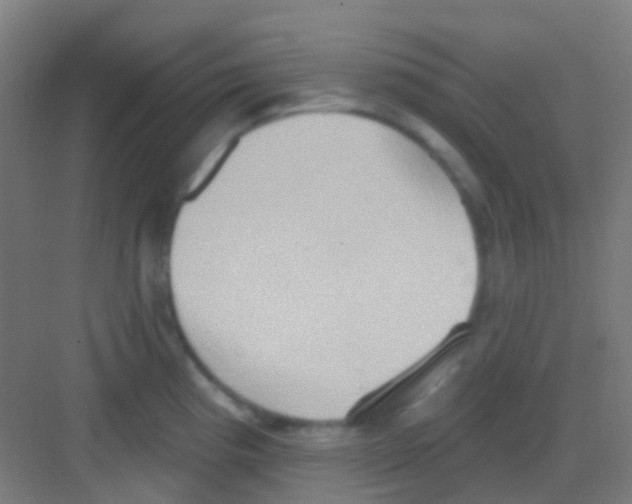 X0000081301193200702082036