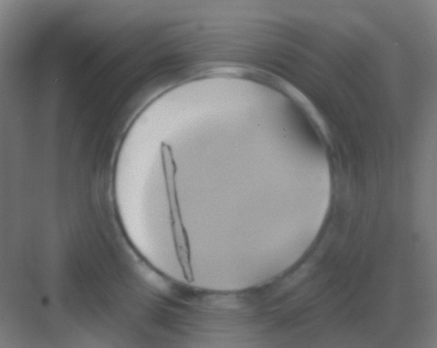 X0000081301194200702082036