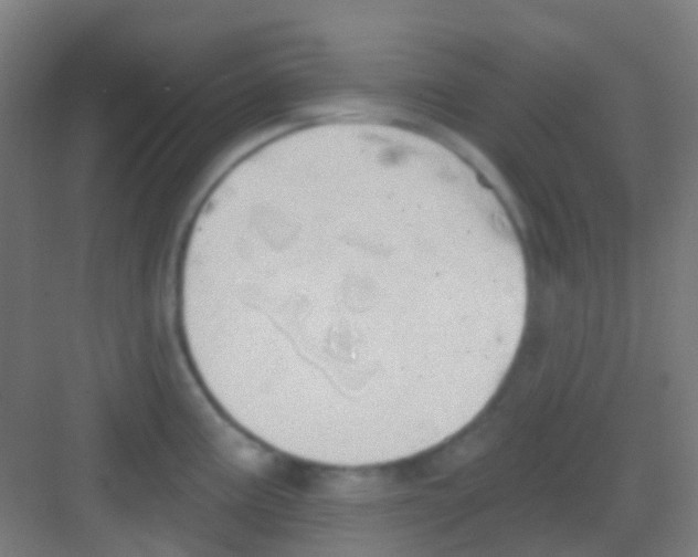 X0000081301195200702082036