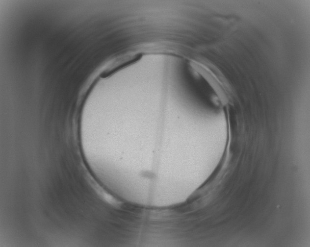 X0000081301196200702082036