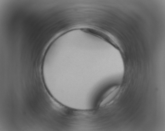 X0000081301197200702082036