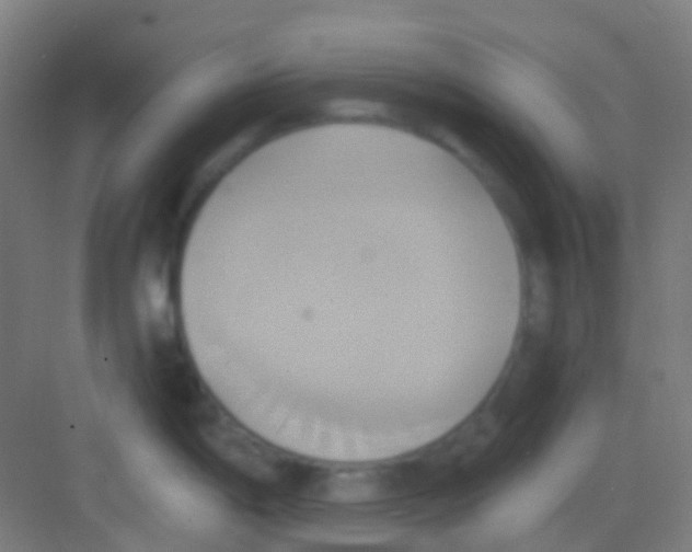 X0000081301198200702082036