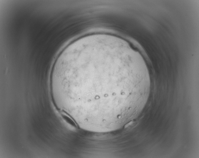 X0000081301199200702082036