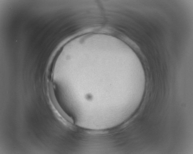 X0000081301200200702082036