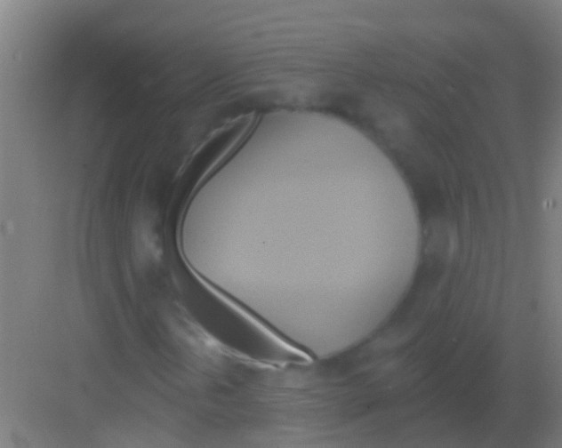 X0000081301202200702082035