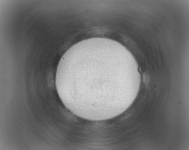 X0000081301203200702082035