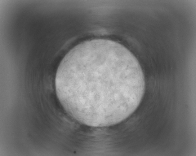 X0000081301205200702082035