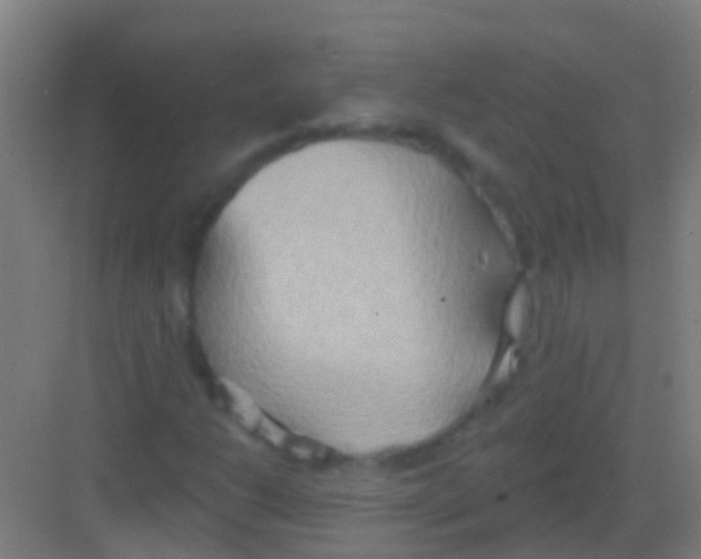 X0000081301206200702082035