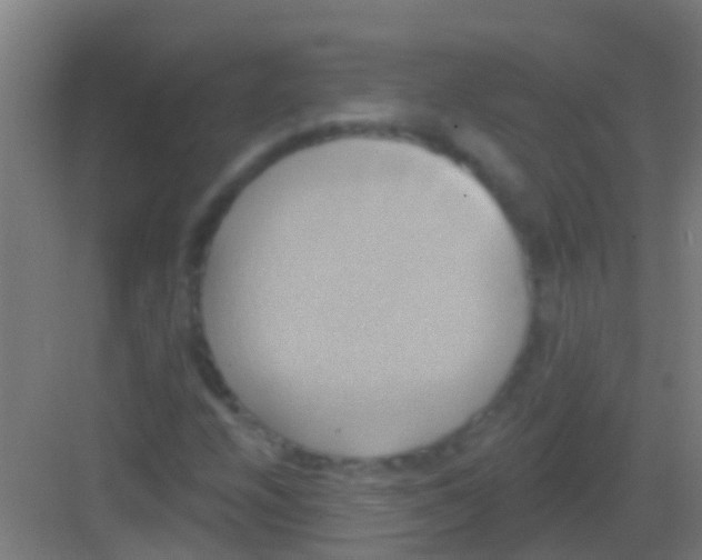 X0000081301208200702082035