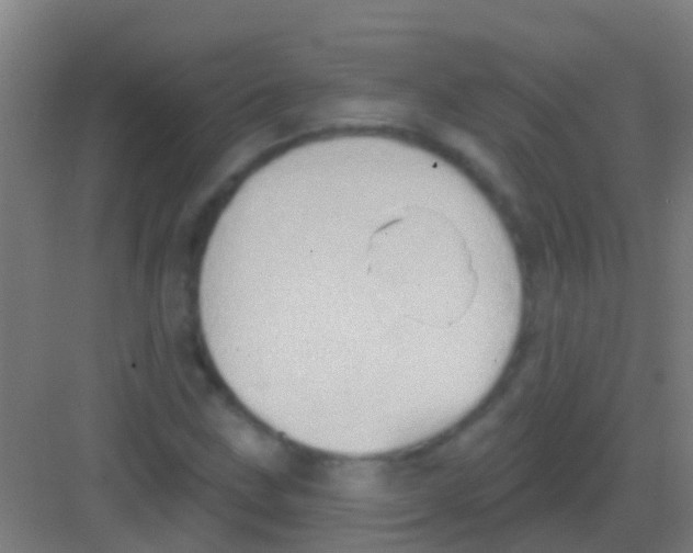 X0000081301211200702082036