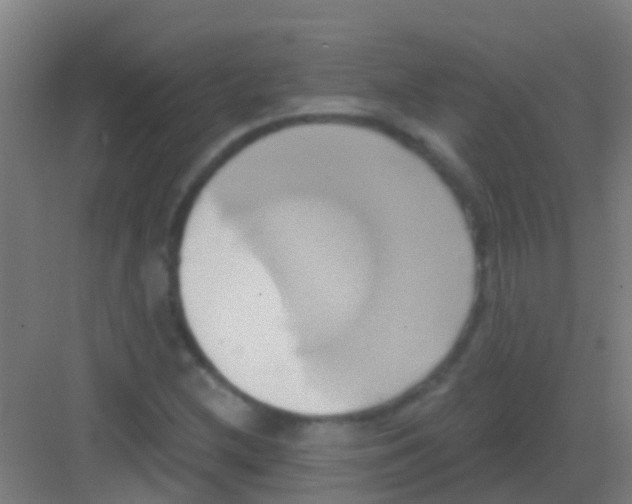 X0000081301212200702082036