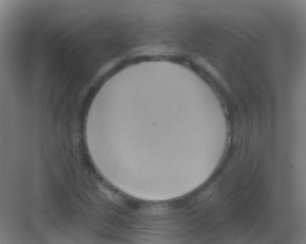 X0000081301213200702082036