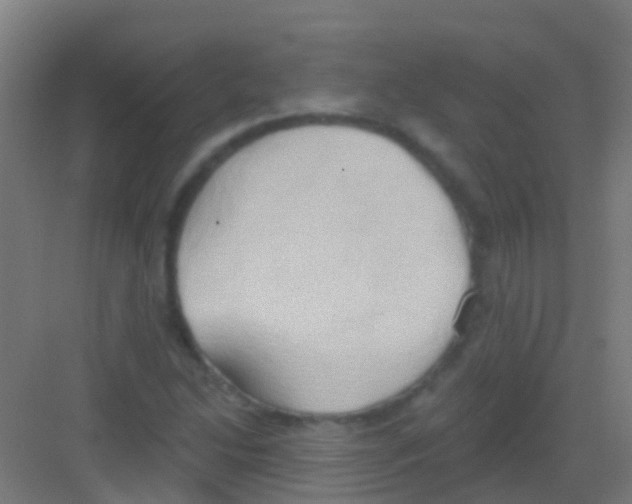 X0000081301214200702082036