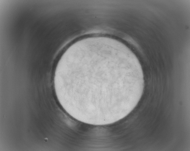 X0000081301216200702082036