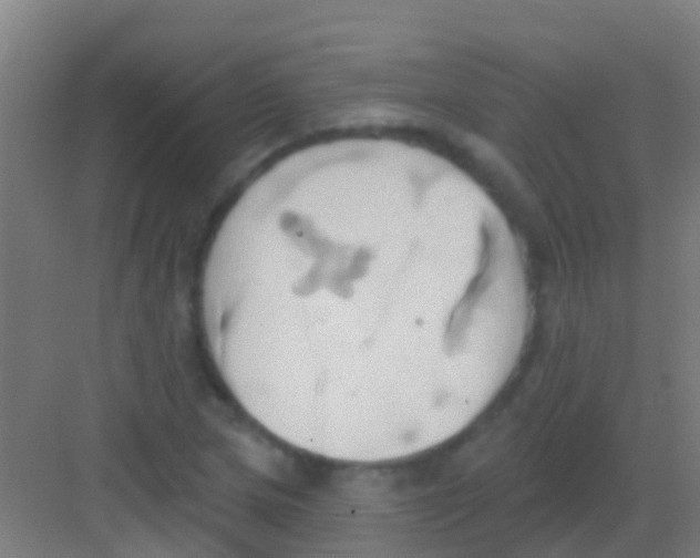 X0000081301217200702082036