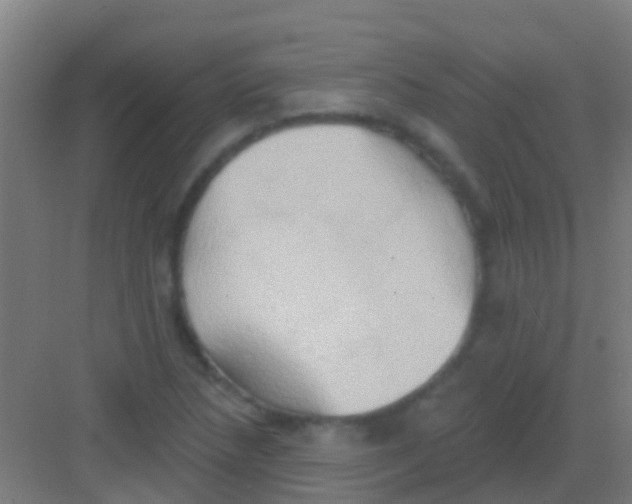 X0000081301218200702082036