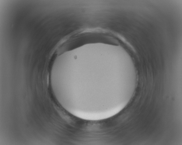 X0000081301221200702082036