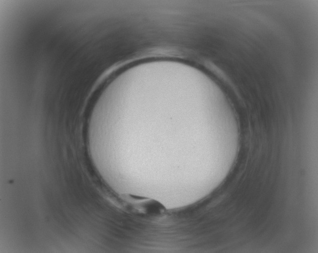 X0000081301222200702082036