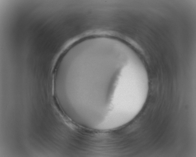 X0000081301223200702082036