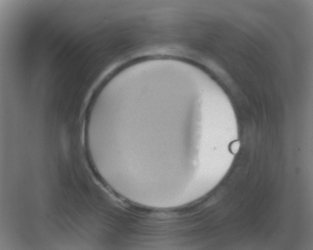 X0000081301224200702082036