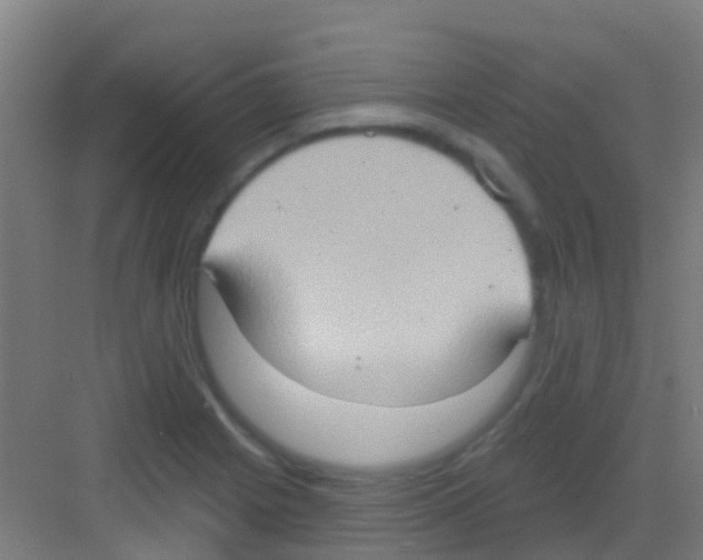 X0000081301225200702082036