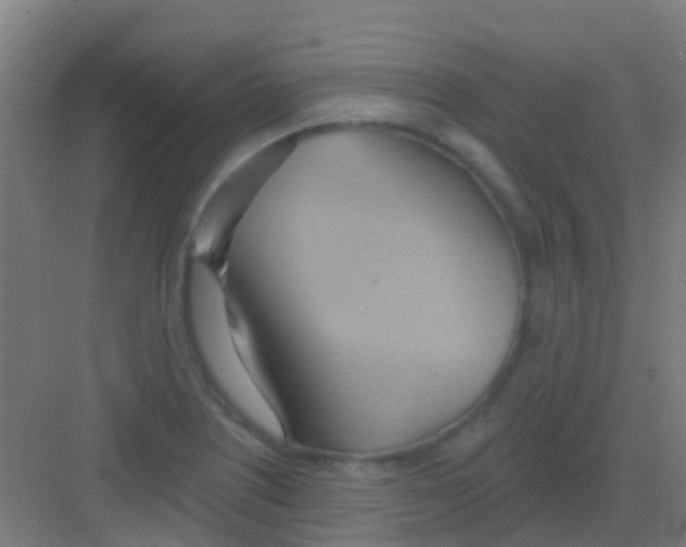 X0000081301226200702082036