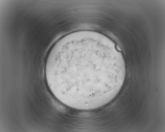 X0000081301227200702082036