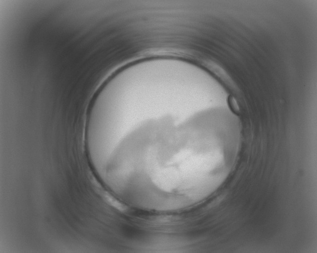 X0000081301228200702082036