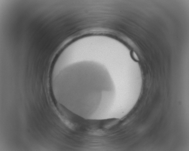 X0000081301229200702082036